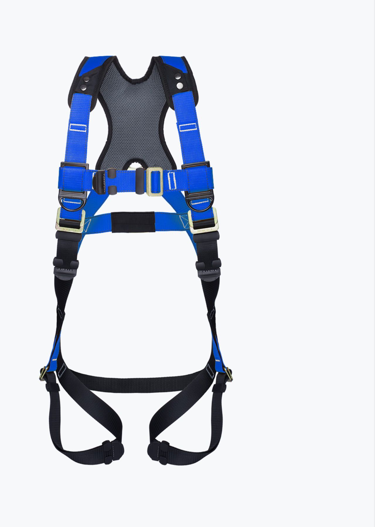 Harness preview with blue webbing.